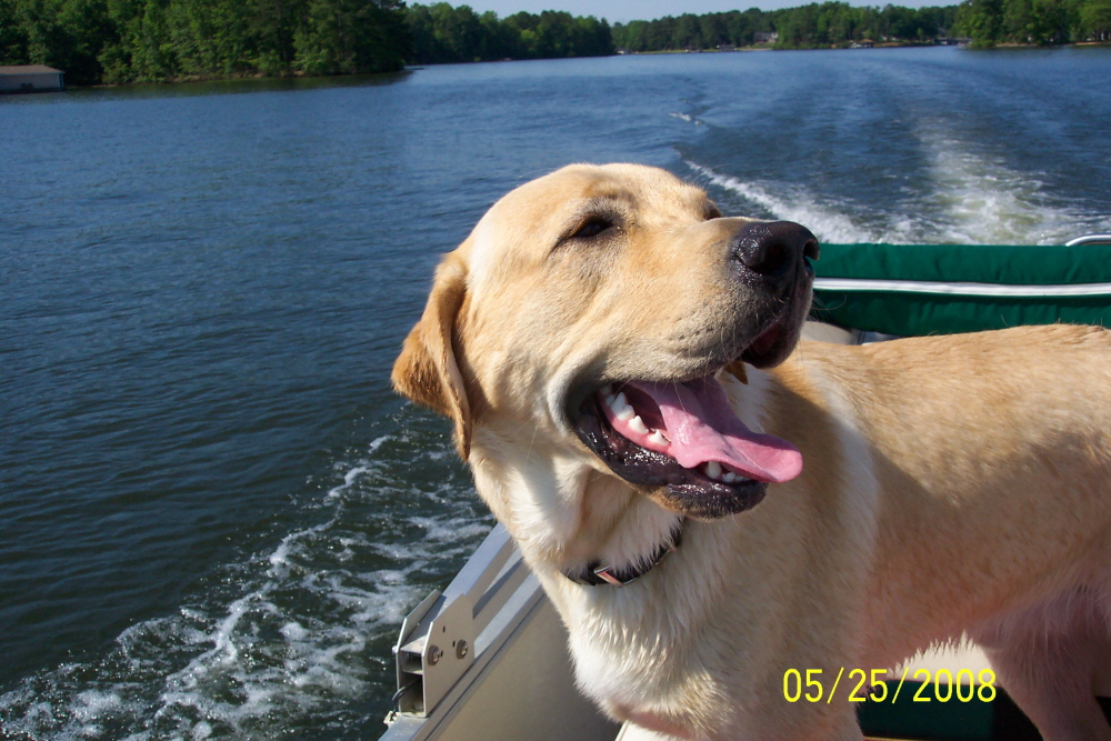 Zeke's Boat ride